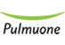풀무원 로고